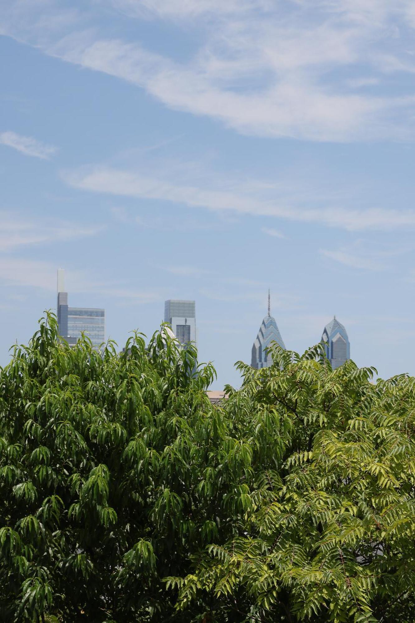 Peaceful Zen Getaway In The City 필라델피아 외부 사진